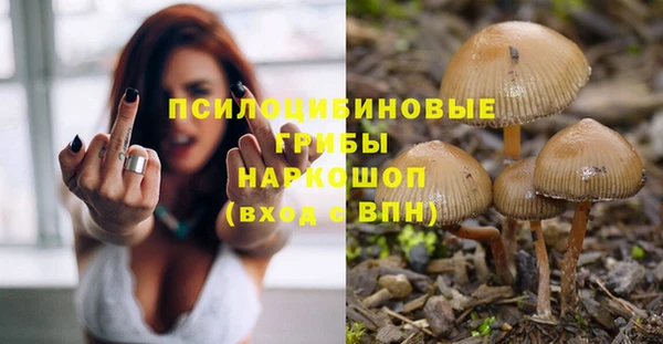а пвп мука Армянск