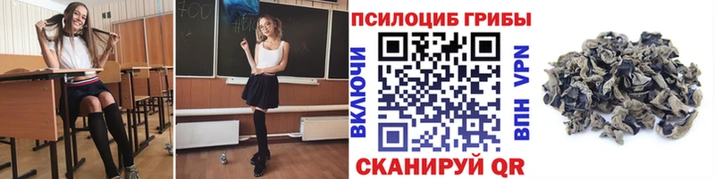 купить наркотик  Орлов  Псилоцибиновые грибы GOLDEN TEACHER 