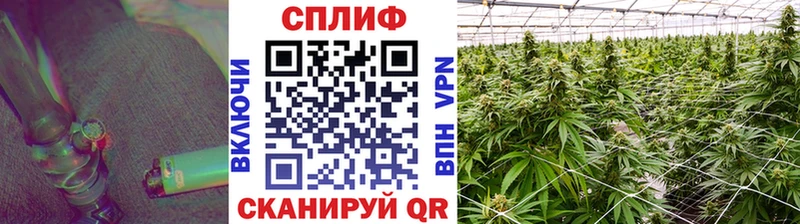 дарк нет как зайти Орлов Каннабис SATIVA & INDICA